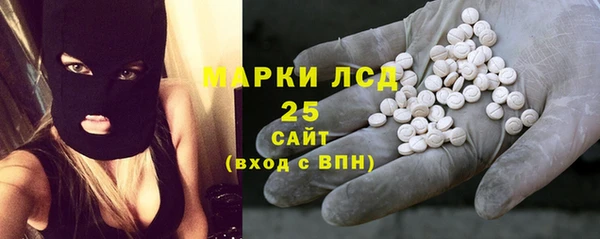 гашик Алексин