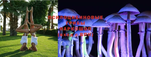 гашик Алексин