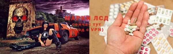 гашик Алексин