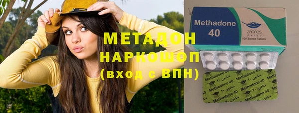 гашик Алексин